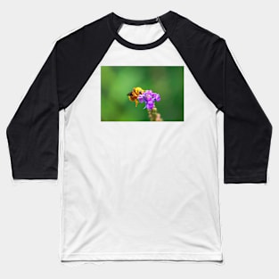 Bee covered in pollen Baseball T-Shirt